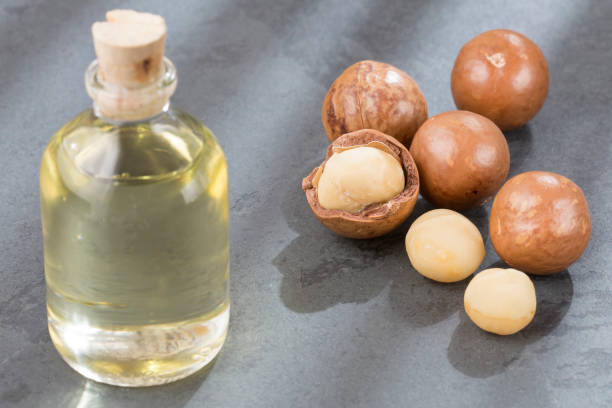 istock Macadamia nuts and oil - Macadamia integrifolia 1130813099