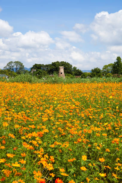 Gyeongju Historic Areas is an ancient tomb from the Silla Dynasty.