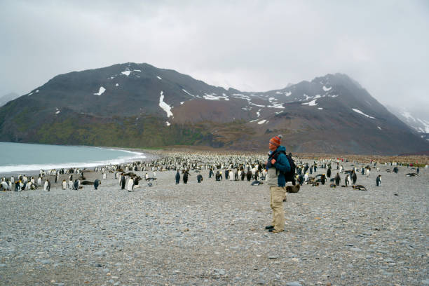 istock Men shoot penguins in South Georgia 1130816108