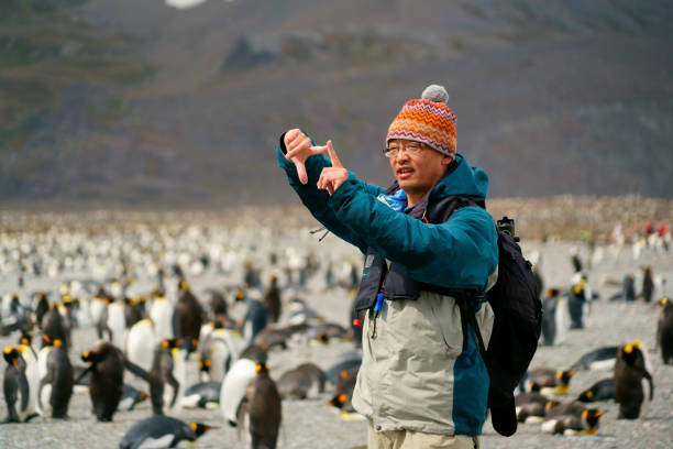 istock Men shoot penguins in South Georgia 1130816129