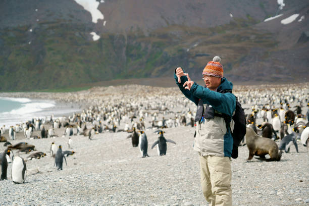 istock Men shoot penguins in South Georgia 1130816662