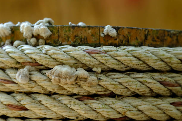istock the close up of Bamboo rope. 1130819915