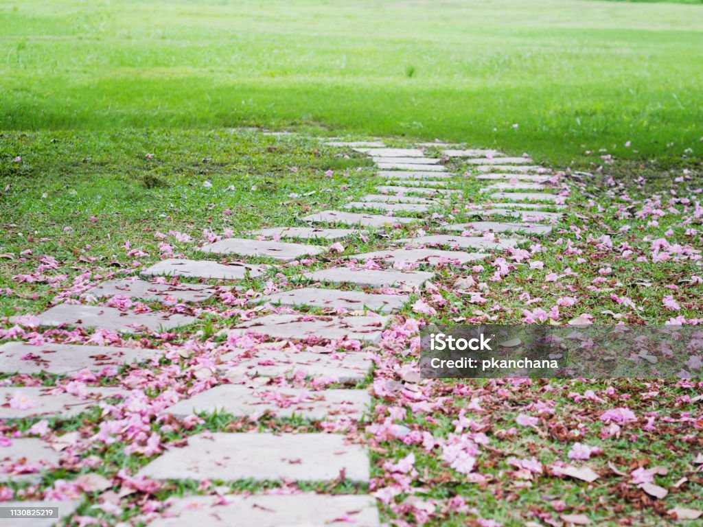 Sendero De Ladrillo Curvado Con Flores Rosas Caídas Foto de stock y más  banco de imágenes de Acera - iStock