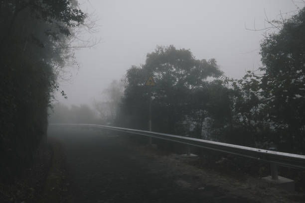 istock Foggy tropical rainforests, Foggy woods. 1130826882