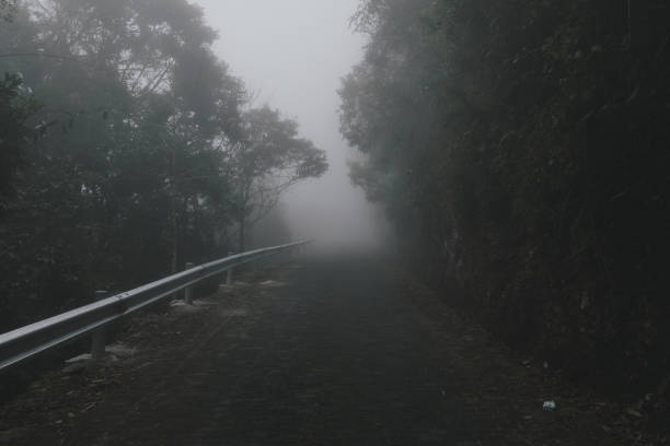 istock Foggy tropical rainforests, Foggy woods. 1130826890