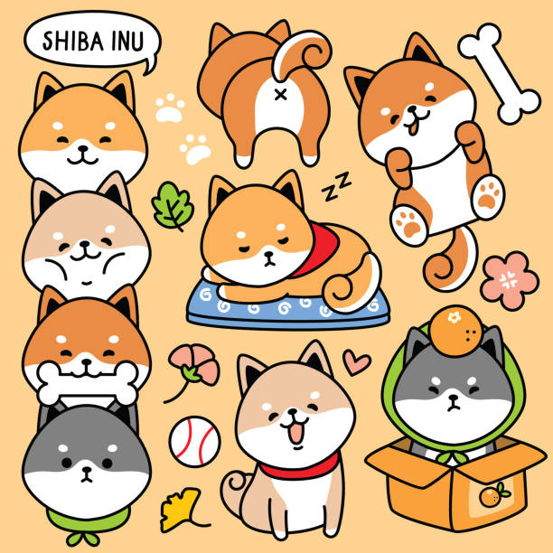 Illustration Vector Set Cartoon Cute Dog Japan Shiba Inu Stock Illustration  - Download Image Now - iStock