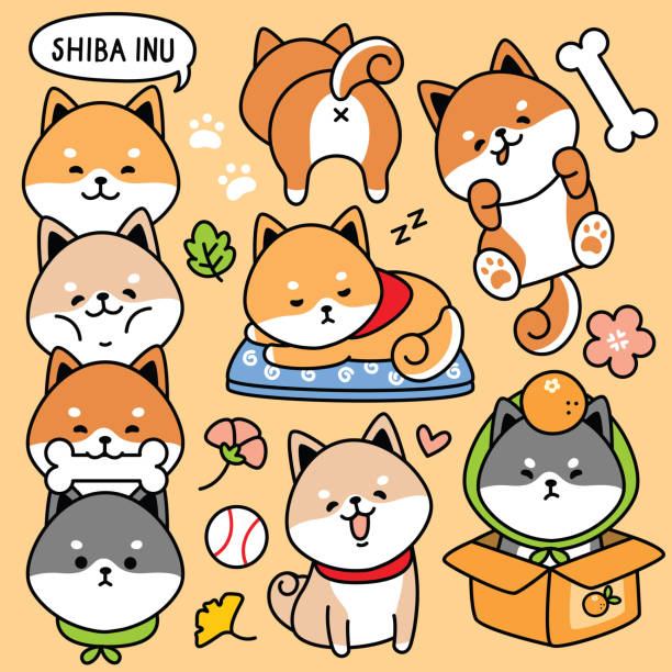 Illustration Vector Set Cartoon Cute Dog Japan Shiba Inu Stock Illustration - Download Image Now - iStock Illustration Vector Set Cartoon Cute Dog Japan Shiba Inu Stock Illustration - Download Image Now - iStock