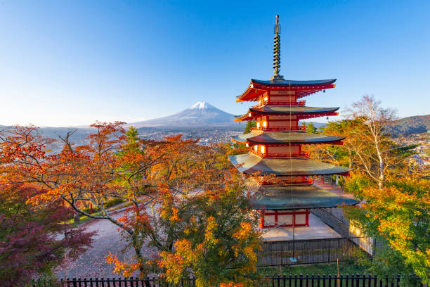 pagode ed et colouful sakura rouge floraison en automne avec fuji mountain background - japanese maple leaf water japan photos et images de collection