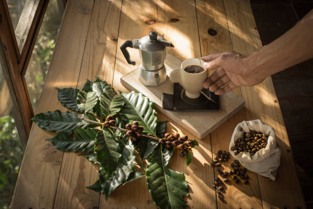istock Coffee in three stages XIII 1130832860