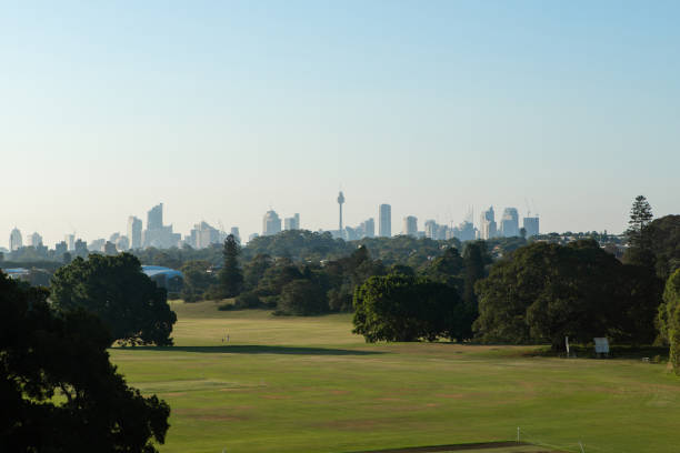 istock Sydney skyline with park 1130834288