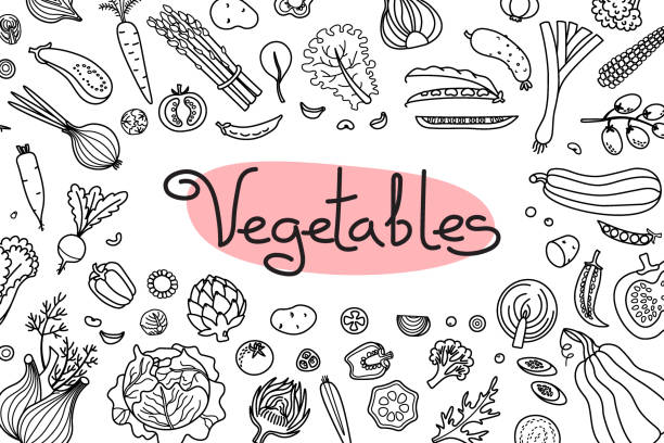 tło z różnymi warzywami i napisem do projektowania menu, receptur i opakowań produktów. ilustracja wektorowa - zucchini vector vegetable food stock illustrations