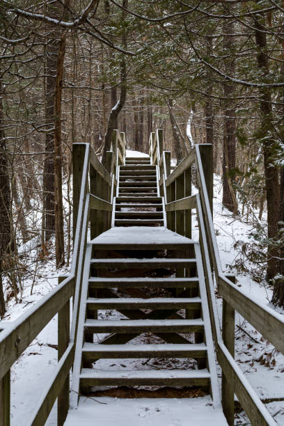 istock Stairs to Starved Rock lodge. 1130834873