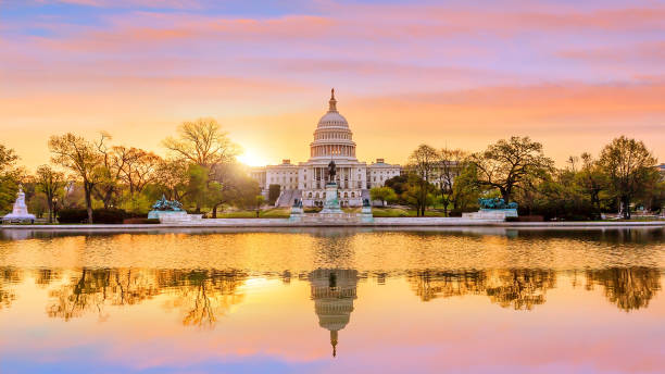 Capitol building in Washington DC The United States Capitol building in Washington DC, sunrise legislator photos stock pictures, royalty-free photos & images