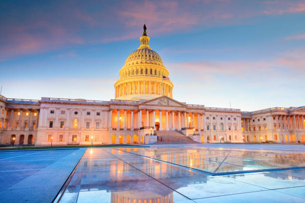 istock The United States Capitol building 1130838138
