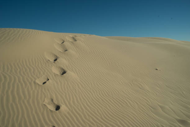 Footprints in the sand at South Shields beach, a seaside town near Newcastle upon Tyne in the North East of England.