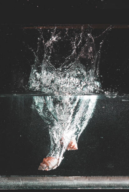 istock Seashells Being Dropped into Water 1130839407