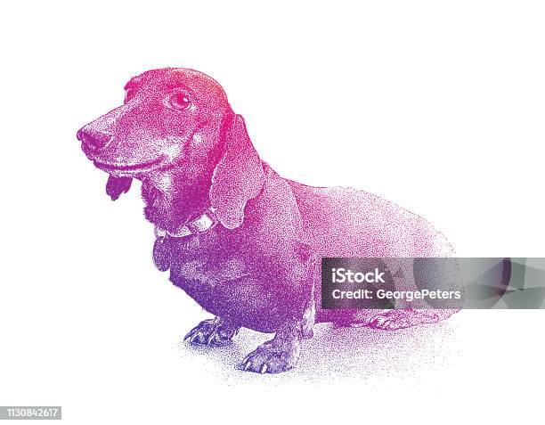 Dachshund Dog In Animal Shelter Hoping To Be Adopted Stock Illustration - Download Image Now