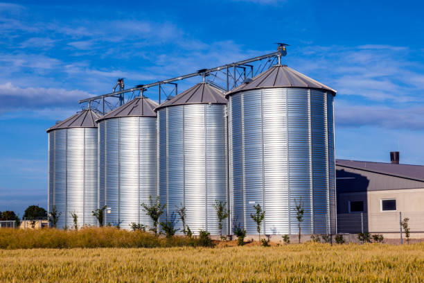 quatre silos d'argent dans le champ de maïs - silo photos et images de collection
