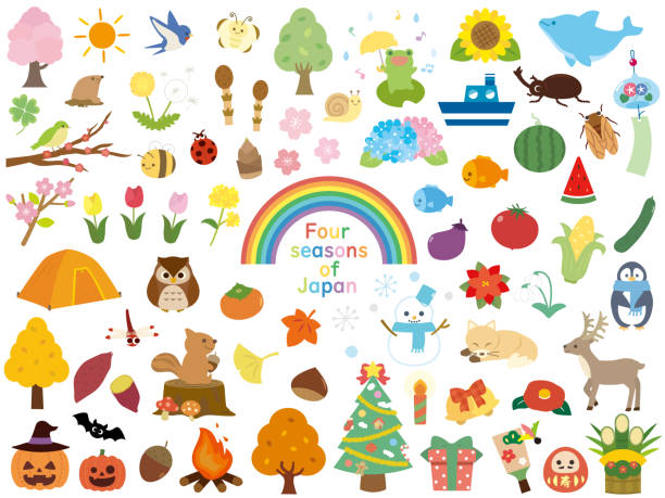 Four seasons of japan2 Four seasons of japan cicada stock illustrations