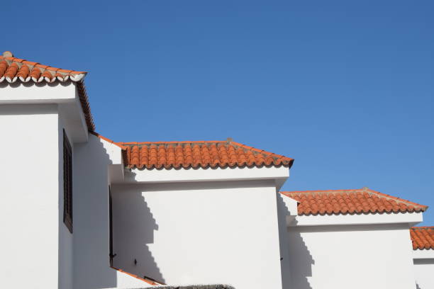 istock Houses at La Palma 1130852880
