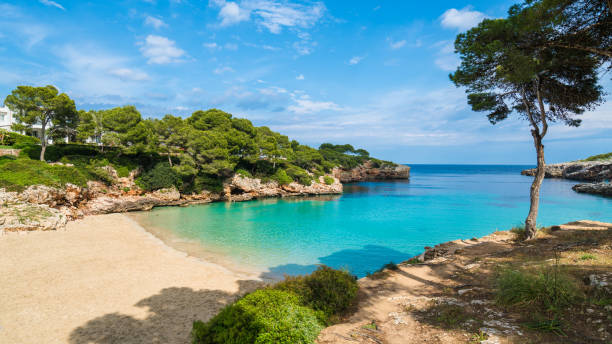 bahía cala dor, palma mallorca - islas baleares fotografías e imágenes de stock