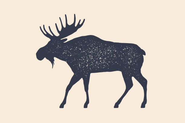 moose, vahşi geyik. çiftlik hayvanlarının konsept tasarımı - boynuzlu illüstrasyonlar stock illustrations