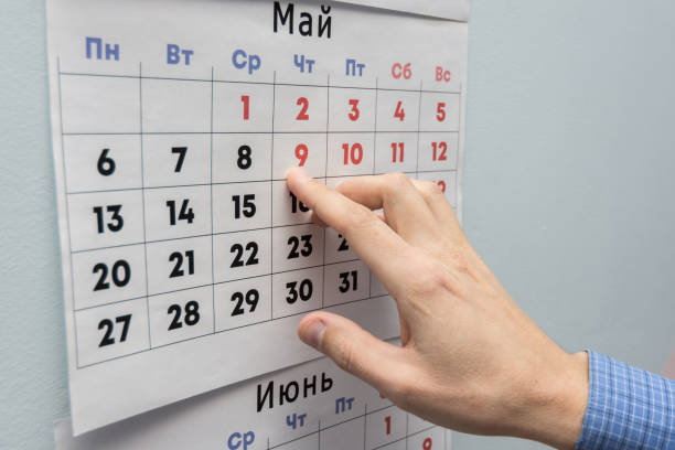 istock Office worker's hand indicates May holidays on a wall calendar sheet 1130857555
