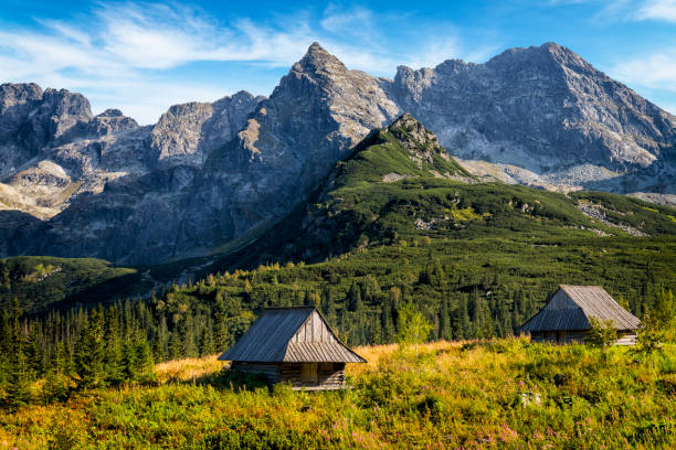 Vacations in Poland - Gasienicowa Valley, Tatra Mountains, Poland Gasienicowa Valley with abandoned in the 40's the shepherd huts, Tatra Mountains, Poland tatra tourists stock pictures, royalty-free photos & images