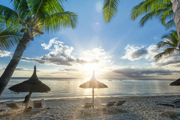 istock tropical straw parasol on palm beach at sundown 1130859038