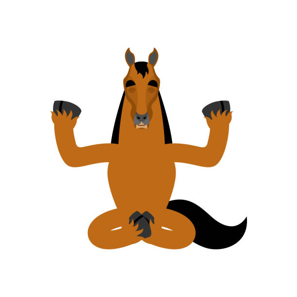 istock Horse yoga. Steed yogi isolated. hoss Relaxation and meditation. Vector illustration 1130862942