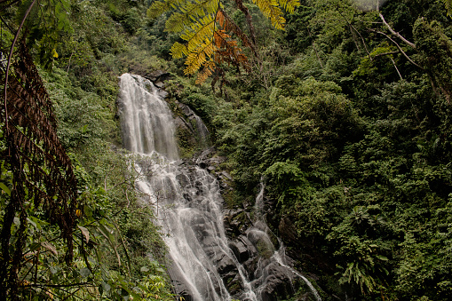 Waterfall on Mount Cyclops in Papua, Indonesia