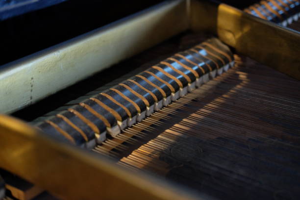istock Classic Used Vintage Piano Hammers 1130863602