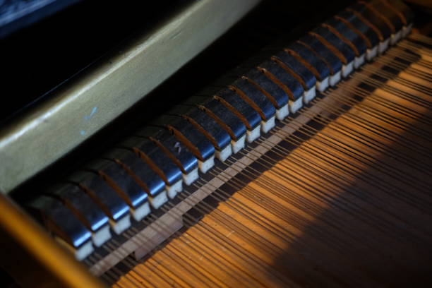 istock Classic Used Vintage Piano Hammers 1130863639