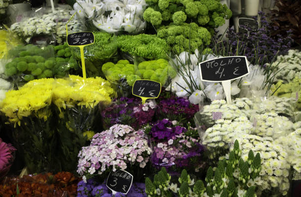 istock Flowers in the garden 1130866979