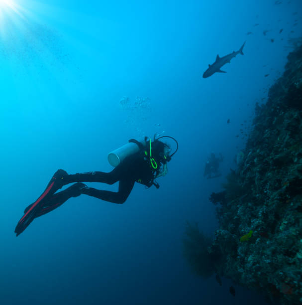 istock Young woman and man scuba divers exploring 1130867164