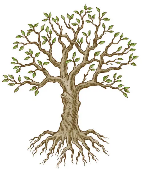 Vector illustration of Tree sketch illustration