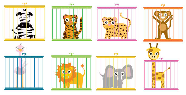 367 Empty Zoo Cage Illustrations & Clip Art - iStock | Row of shoes, Big  man from behind