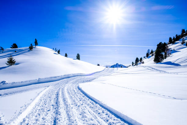 istock landscape near pertisau - austria 1130874242