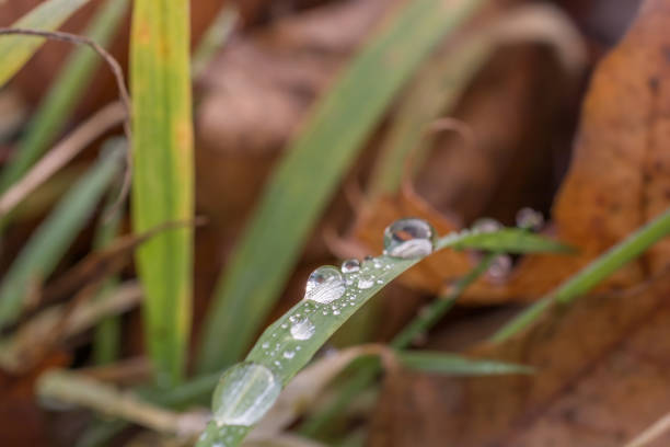 beauty in nature