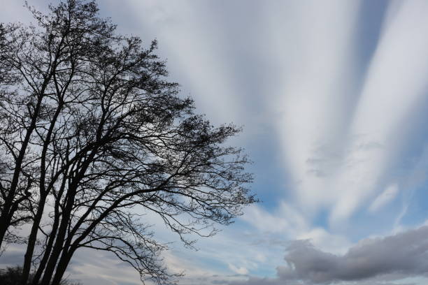 Cloudscape
