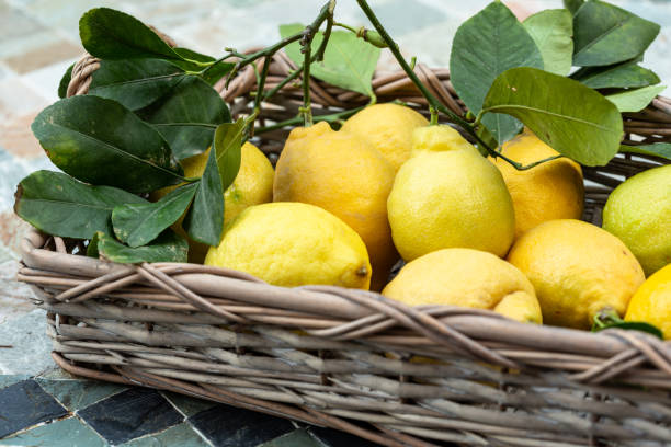 istock Organic lemons in basket 1130879104