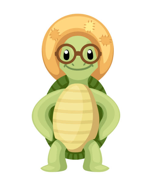 Turtle Face Illustrations, Royalty-Free Vector Graphics & Clip Art - iStock