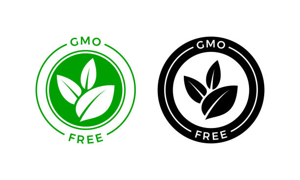 ilustraciones, imágenes clip art, dibujos animados e iconos de stock de icono libre de omg. vector hoja verde no gmo logo signo de diseño de etiqueta de paquete de alimentos saludables - non gmo