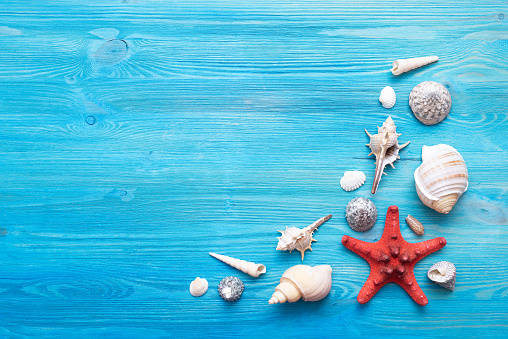 Summer sea vacation concept background with copy space. Various seashells and a red starfish on a blue wooden floor background.