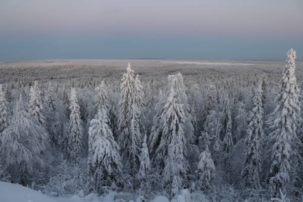 istock The Urals in winter 1130883181