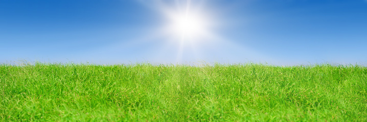 Green grass on blue clear sky, spring nature theme, Panorama