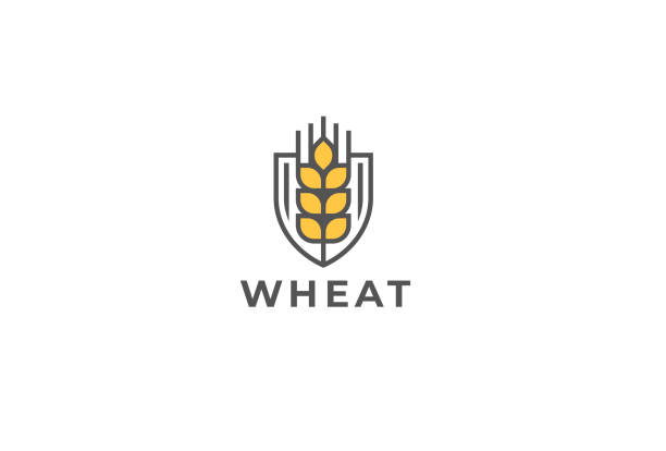 Ear vector emblem. Grain wheat symbol design. Beer emblem. Ear vector emblem. Grain wheat symbol design. Beer emblem. insignia healthy eating gold nature stock illustrations