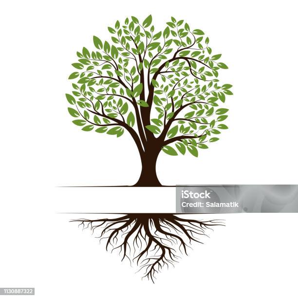 ルーツと葉を持つグリーンライフツリーのロゴ白の背景に分離されたベクトルイラストアイコン - 樹木のベクターアート素材や画像を多数ご用意 - 樹木, 根, イラストレーション