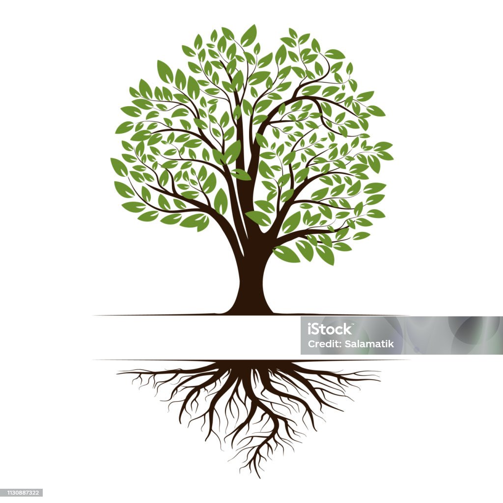 Logo of a green life tree with roots and leaves. Vector illustration icon isolated on white background. Tree stock vector