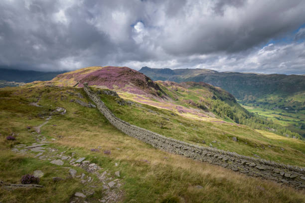 istock Mountain path and wall on Lingmoor Fell with blossoming heather 1130887907
